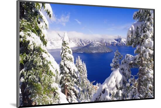 Photographic Print, , large