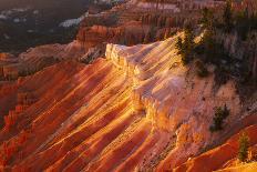 Travertine terraces at Minerva Spring, Mammoth Hot Springs, Yellowstone National Park, Wyoming, USA-Russ Bishop-Photographic Print