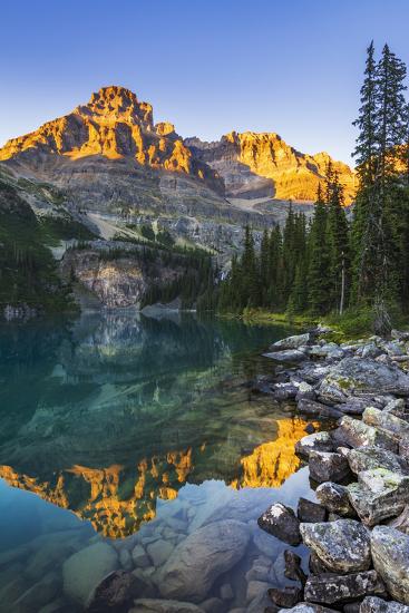 Premium Photographic Print, , large