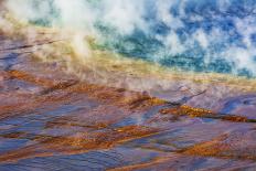 Rainbow Eucalyptus bark, Mindanao Gum, Island of Kauai, Hawaii, USA-Russ Bishop-Photographic Print