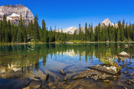 Premium Photographic Print, , large