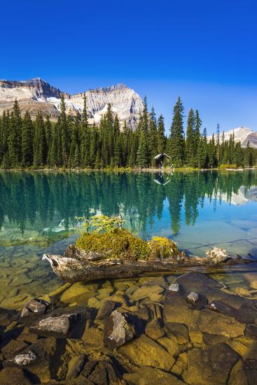 Premium Photographic Print, , large