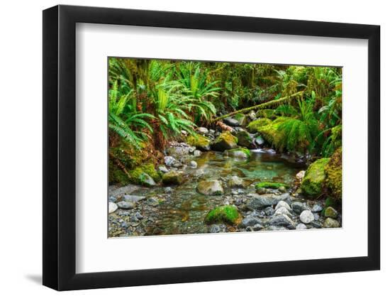 Premium Photographic Print, , large