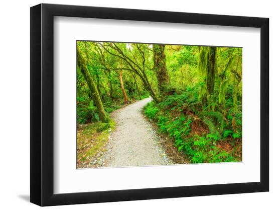 Premium Photographic Print, , large