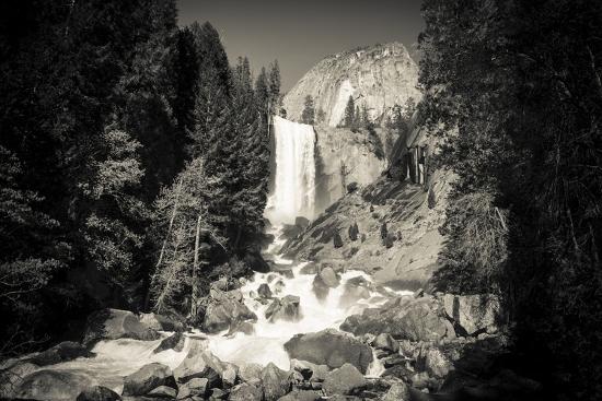 Premium Photographic Print, , large