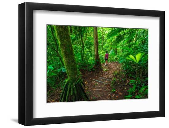 Premium Photographic Print, , large