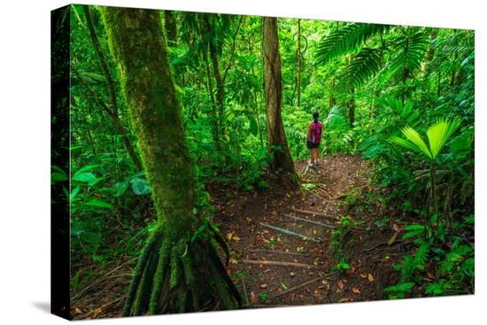 Stretched Canvas Print, , large