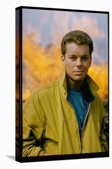 Russ Tamblyn as Riff, Gang Leader of the Jets in Scene from West Side Story-Gjon Mili-Stretched Canvas