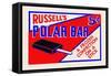 Russel's Polar Bar-null-Framed Stretched Canvas