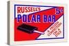 Russel's Polar Bar-null-Stretched Canvas