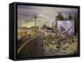 Framed Canvas