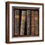 Brown Frame