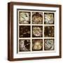 Brown Frame