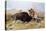 Russell: Buffalo Hunt-Charles Marion Russell-Stretched Canvas