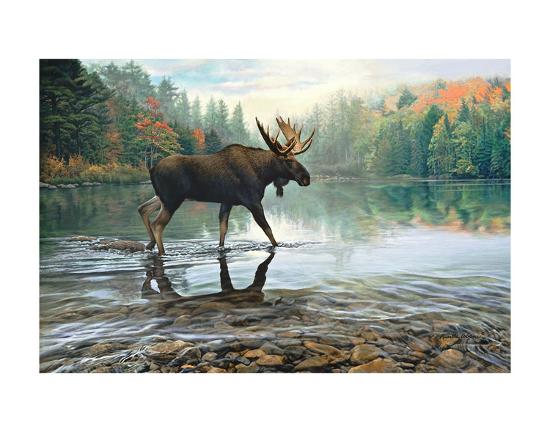 Art Print, , large