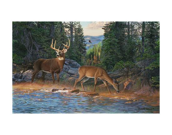 Art Print, , large