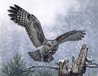 Snowy Landing-Russell Cobane-Giclee Print