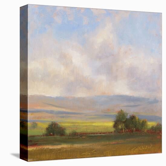 Russell Creek View I-Todd Telander-Stretched Canvas