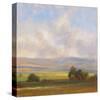 Russell Creek View I-Todd Telander-Stretched Canvas