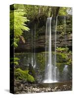 Russell Falls, Mount Field National Park, Tasmania, Australia-David Wall-Stretched Canvas