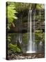 Russell Falls, Mount Field National Park, Tasmania, Australia-David Wall-Stretched Canvas