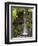 Russell Falls, Mount Field National Park, Tasmania, Australia-David Wall-Framed Photographic Print