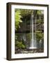 Russell Falls, Mount Field National Park, Tasmania, Australia-David Wall-Framed Photographic Print