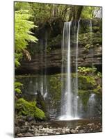 Russell Falls, Mount Field National Park, Tasmania, Australia-David Wall-Mounted Photographic Print