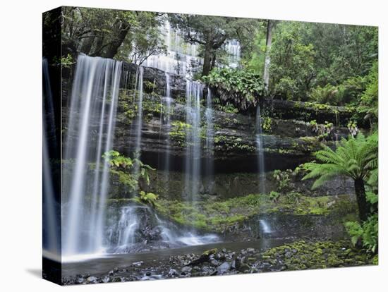 Russell Falls, Mount Field National Park, UNESCO World Heritage Site, Tasmania, Australia, Pacific-Jochen Schlenker-Stretched Canvas