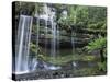 Russell Falls, Mount Field National Park, UNESCO World Heritage Site, Tasmania, Australia, Pacific-Jochen Schlenker-Stretched Canvas