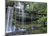 Russell Falls, Mount Field National Park, UNESCO World Heritage Site, Tasmania, Australia, Pacific-Jochen Schlenker-Mounted Photographic Print