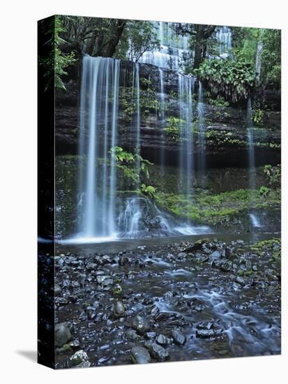 Russell Falls, Mount Field National Park, UNESCO World Heritage Site, Tasmania, Australia, Pacific-Jochen Schlenker-Stretched Canvas