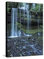 Russell Falls, Mount Field National Park, UNESCO World Heritage Site, Tasmania, Australia, Pacific-Jochen Schlenker-Stretched Canvas