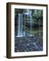 Russell Falls, Mount Field National Park, UNESCO World Heritage Site, Tasmania, Australia, Pacific-Jochen Schlenker-Framed Photographic Print