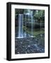 Russell Falls, Mount Field National Park, UNESCO World Heritage Site, Tasmania, Australia, Pacific-Jochen Schlenker-Framed Photographic Print