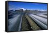 Russell Glacier and Moraines-Paul Souders-Framed Stretched Canvas