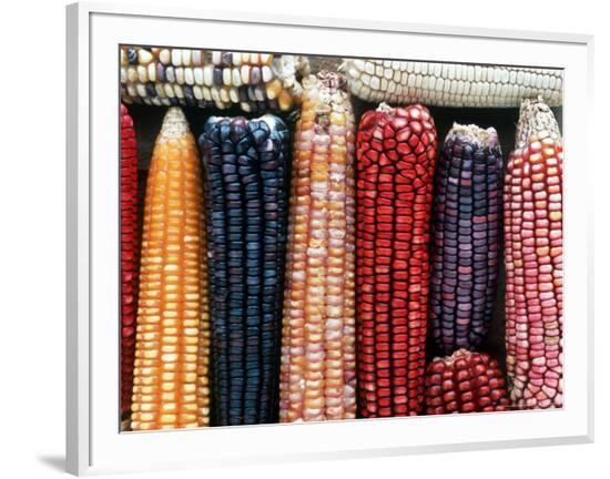 Framed Photographic Print, , large