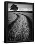 Essential Black