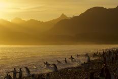 Jupiter setting over Mount Moran, Grand Teton National Park-Russell Laman-Photographic Print