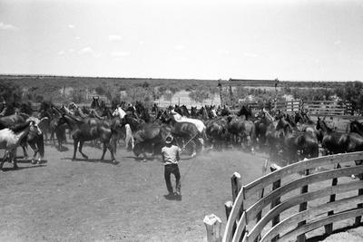 Texas: Cowboy, 1939