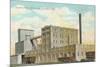 Russell-Miller Milling, Minot, North Dakota-null-Mounted Art Print