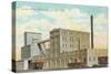 Russell-Miller Milling, Minot, North Dakota-null-Stretched Canvas