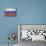 Russia Country Flag - Barnwood Painting-Lantern Press-Mounted Art Print displayed on a wall