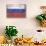 Russia Country Flag - Barnwood Painting-Lantern Press-Premium Giclee Print displayed on a wall