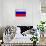 Russia Flag Design with Wood Patterning - Flags of the World Series-Philippe Hugonnard-Art Print displayed on a wall