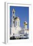 Russia, Golden Ring, Sergiev-Posad, Cathedral of Trinity-null-Framed Giclee Print