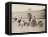 Russia, Harnessings in St. Petersburg-null-Framed Stretched Canvas