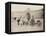 Russia, Harnessings in St. Petersburg-null-Framed Stretched Canvas