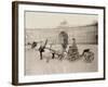 Russia, Harnessings in St. Petersburg-null-Framed Photographic Print