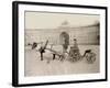 Russia, Harnessings in St. Petersburg-null-Framed Photographic Print